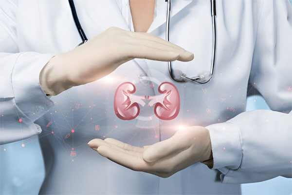 Urologist Meaning in Tamil | Urologist Definition in Tamil